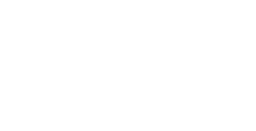 Ritter Insurance Marketing Products